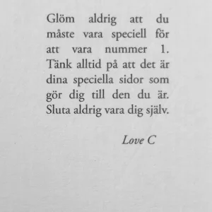 Ace Örhängen